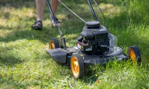 Un uomo sta per tosare il prato con un tosaerba a motore. L'erba è alta e verde, pronta per essere tagliata.