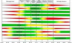 Grafico che mostra come misurare il pH del terreno e la disponibilità di nutrienti. Scala pH da 4.0 a 10.0.