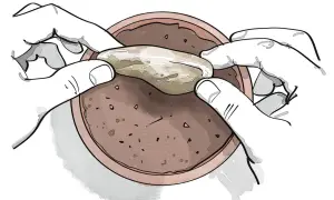 Mani che posizionano un seme mango in un vaso di terra.