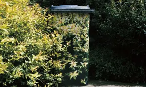 Un bidone per la raccolta differenziata decorato con un motivo floreale, un'idea creativa per contenitori fai da te che si mimetizzano nel verde.