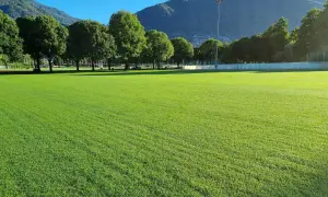 Prato verde brillante, perfetto per capire la differenza tra gramigna e gramignone. Alberi e montagne sullo sfondo.