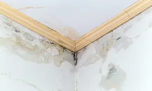 Angolo di un soffitto con evidenti macchie gialle e muffa nera, segno di infiltrazioni d'acqua e umidità.