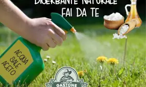 Mano spruzza un diserbante naturale fai da te potente a base di acqua, sale e aceto sull'erba. Ingredienti naturali per un giardino senza erbacce.