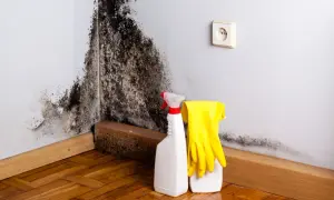 Angolo di una stanza con muffa nera sul muro. Accanto, flacone spray e guanti gialli, pronti per pulire e capire come evitare la muffa in casa.