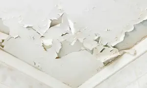 Soffitto scrostato e macchiato, segnale evidente di come riconoscere le infiltrazioni d'acqua. La pittura si stacca a chiazze, rivelando l'umidità sottostante.