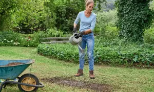 Donna annaffia il prato con un'annaffiatoio, un passo fondamentale per imparare come rinverdire il prato in estate. Carriola piena di terra sullo sfondo.