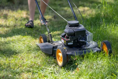 Un uomo sta per tosare il prato con un tosaerba a motore. L'erba è alta e verde, pronta per essere tagliata.