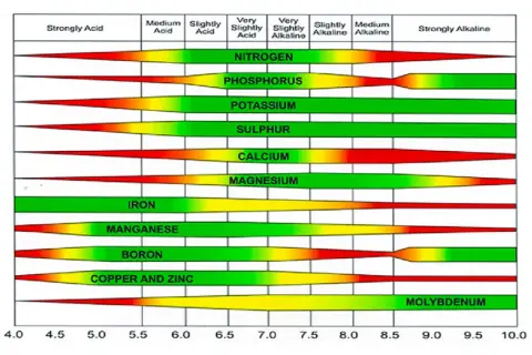 Grafico che mostra come misurare il pH del terreno e la disponibilità di nutrienti. Scala pH da 4.0 a 10.0.