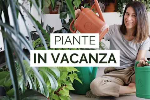 Donna sorridente con annaffiatoi, circondata da piante rigogliose. Impara come innaffiare le piante quando si va in vacanza per mantenerle sane.