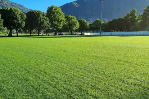 Prato verde brillante, perfetto per capire la differenza tra gramigna e gramignone. Alberi e montagne sullo sfondo.