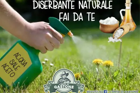 Mano spruzza un diserbante naturale fai da te potente a base di acqua, sale e aceto sull'erba. Ingredienti naturali per un giardino senza erbacce.