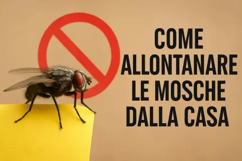 Una mosca su un foglio giallo, con un cerchio rosso di divieto. Testo: "Come allontanare le mosche dalla casa". Rimedi efficaci.