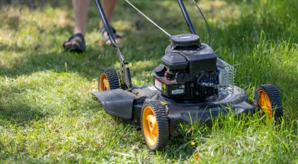 Un uomo sta per tosare il prato con un tosaerba a motore. L'erba è alta e verde, pronta per essere tagliata.