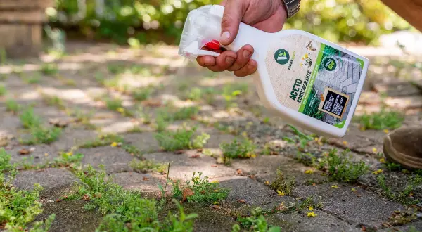 Uomo spruzza erbicida su pavimentazione infestata da erbacce. La bottiglia indica "Aceto Corroborante" e promette un effetto diserbante duraturo.