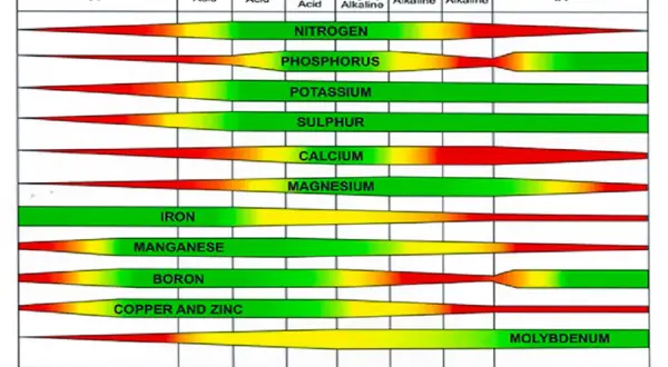 Grafico che mostra come misurare il pH del terreno e la disponibilità di nutrienti. Scala pH da 4.0 a 10.0.