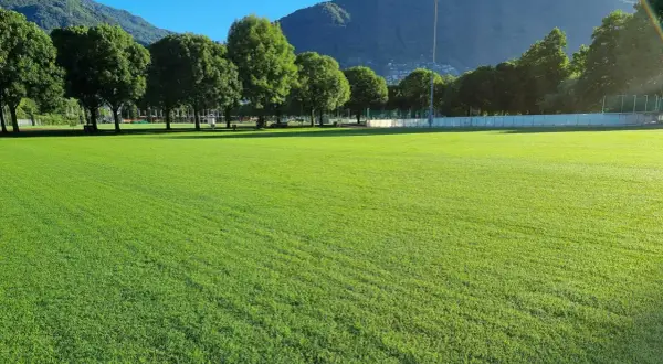 Prato verde brillante, perfetto per capire la differenza tra gramigna e gramignone. Alberi e montagne sullo sfondo.