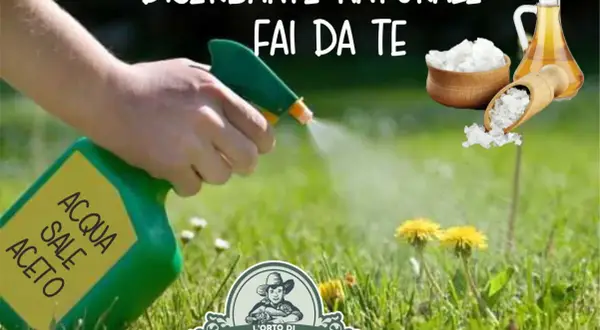 Mano spruzza un diserbante naturale fai da te potente a base di acqua, sale e aceto sull'erba. Ingredienti naturali per un giardino senza erbacce.