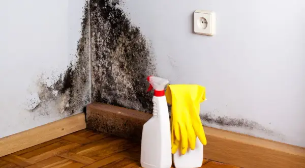 Angolo di una stanza con muffa nera sul muro. Accanto, flacone spray e guanti gialli, pronti per pulire e capire come evitare la muffa in casa.
