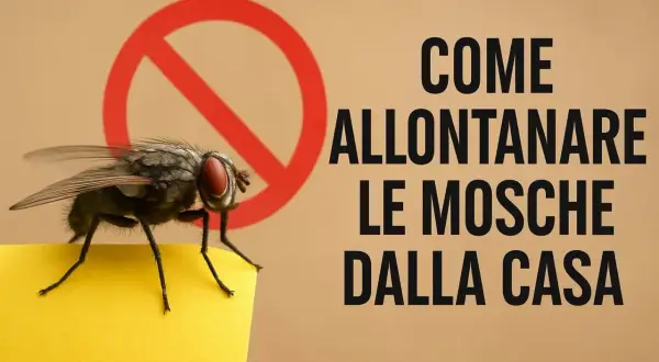 Una mosca su un foglio giallo, con un cerchio rosso di divieto. Testo: "Come allontanare le mosche dalla casa". Rimedi efficaci.