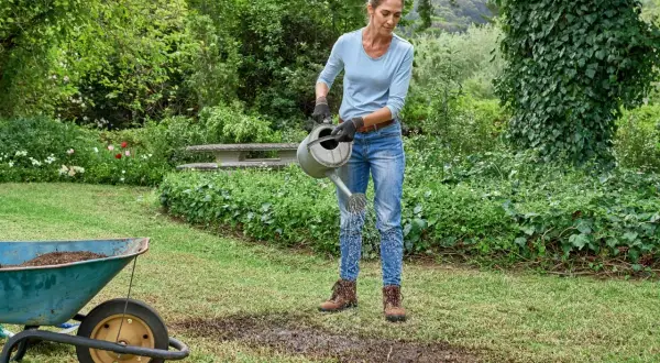 Donna annaffia il prato con un'annaffiatoio, un passo fondamentale per imparare come rinverdire il prato in estate. Carriola piena di terra sullo sfondo.