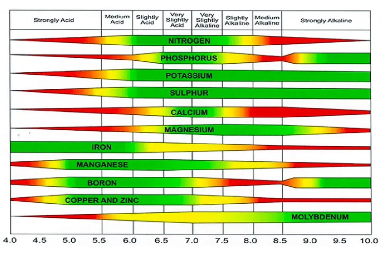 Grafico che mostra come misurare il pH del terreno e la disponibilità di nutrienti. Scala pH da 4.0 a 10.0.