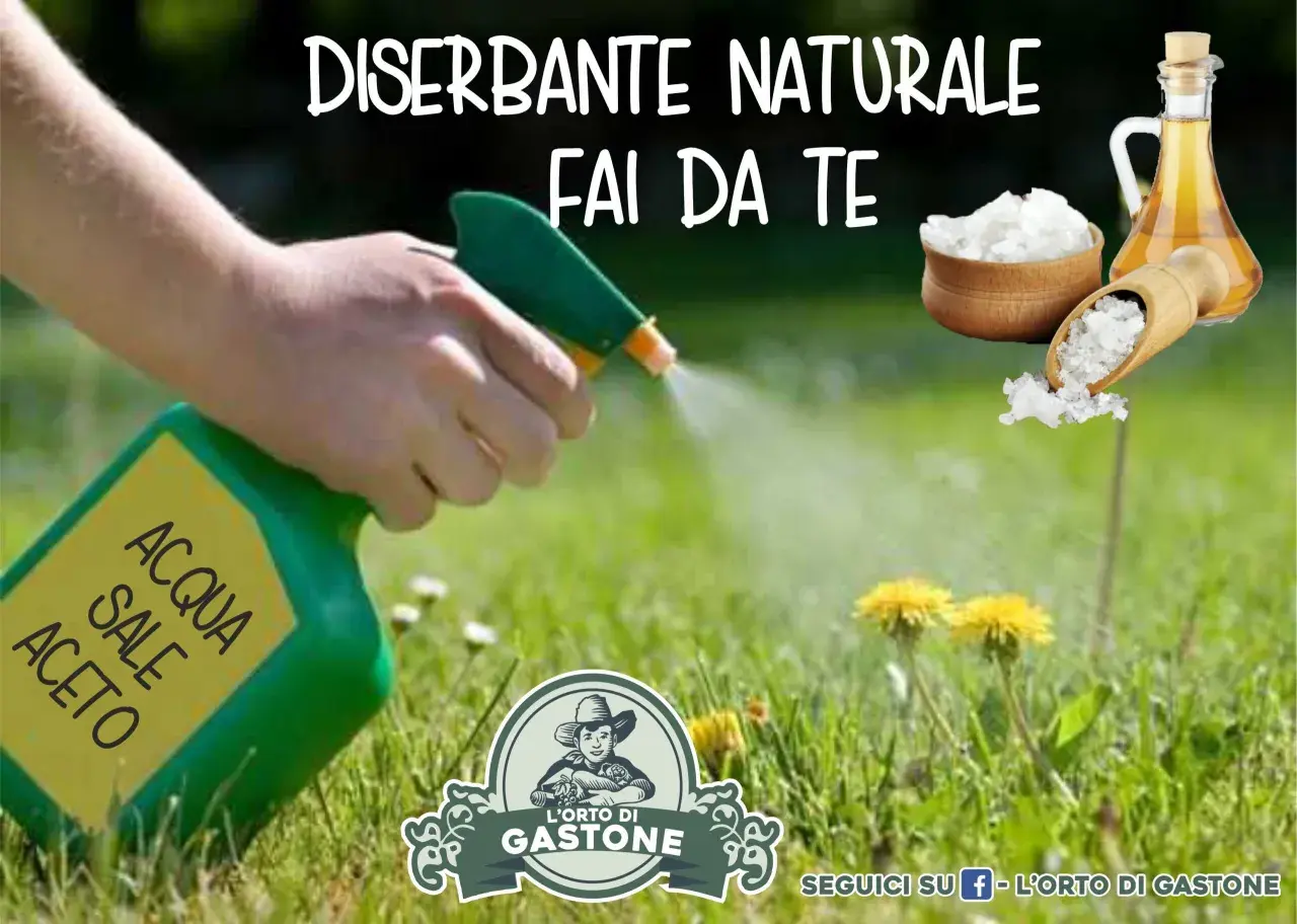 Mano spruzza un diserbante naturale fai da te potente a base di acqua, sale e aceto sull'erba. Ingredienti naturali per un giardino senza erbacce.