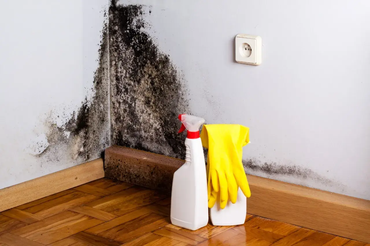 Angolo di una stanza con muffa nera sul muro. Accanto, flacone spray e guanti gialli, pronti per pulire e capire come evitare la muffa in casa.