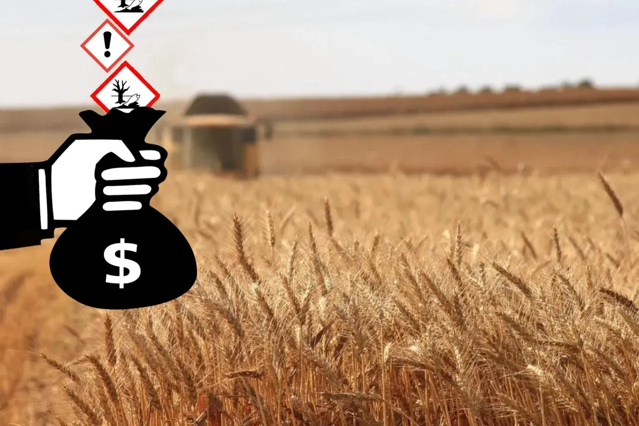 Un sacco di soldi con simboli di pericolo sovrastano un campo di grano. Il diserbante è pericoloso per l'uomo, ma genera profitto.