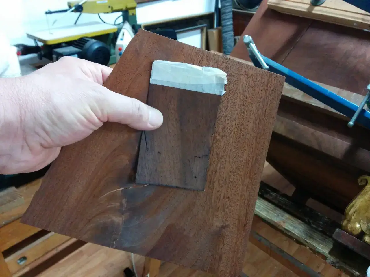 Mano che tiene un pezzo di impiallacciatura di legno scuro, pronto per restaurare un mobile impiallacciato.