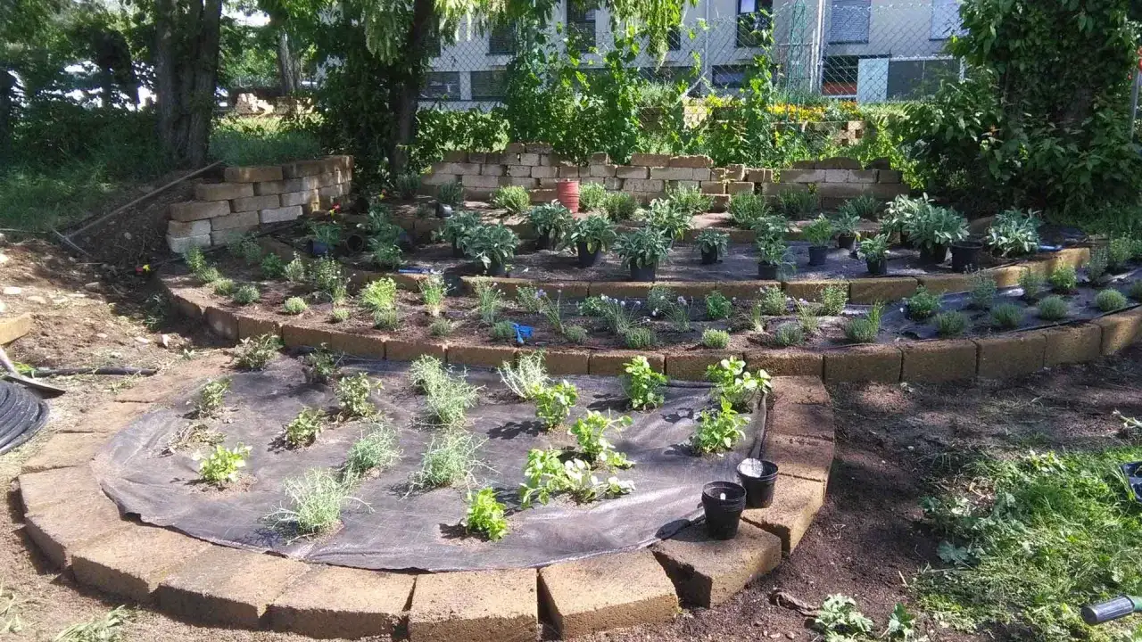 Un giardino a terrazze con erbe aromatiche, dove il rosmarino mai vicino, ma ben piantato, prospera tra salvia e altre piantine.