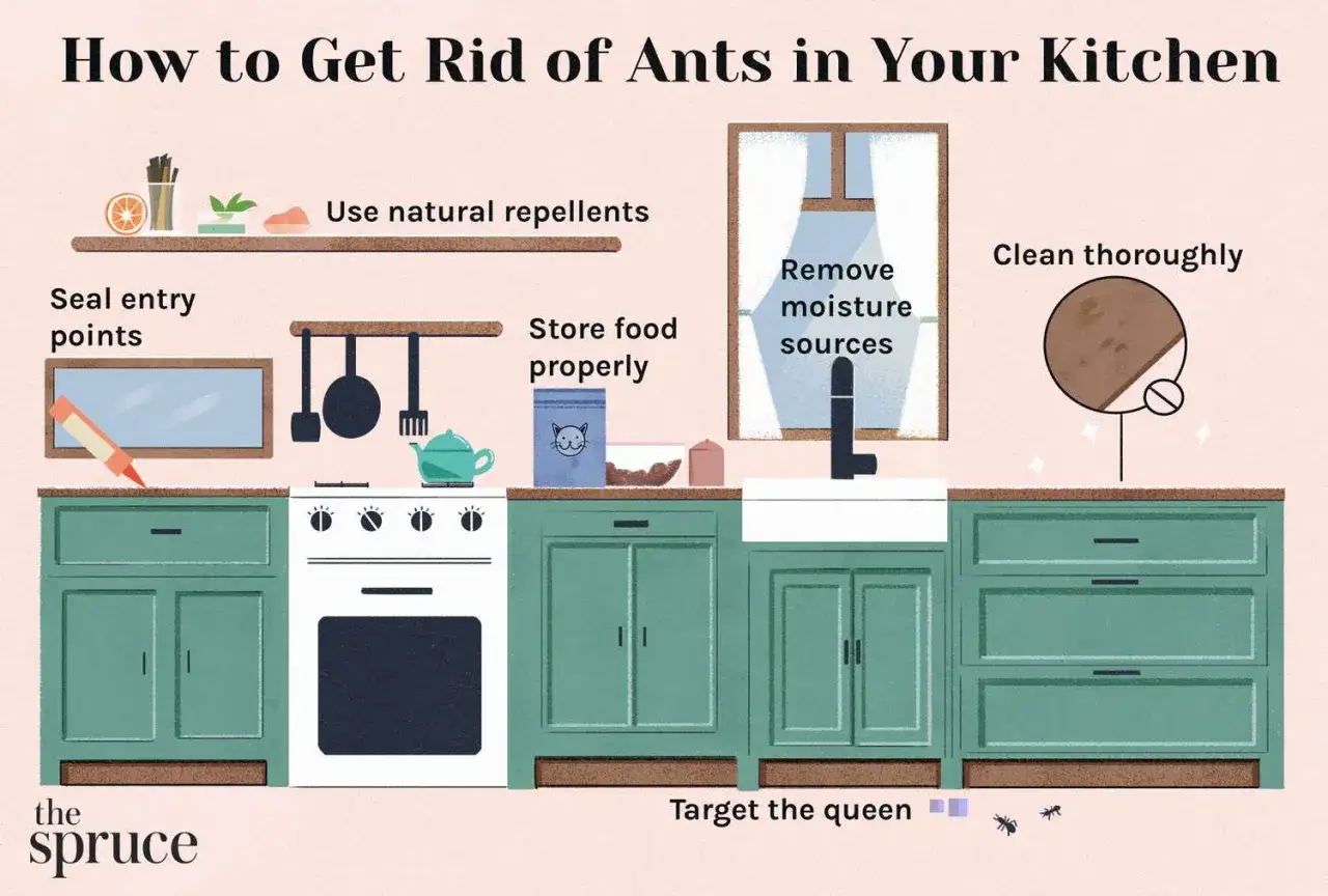 Illustrazione di una cucina con consigli per eliminare le formiche, tra cui l'uso di repellenti naturali.