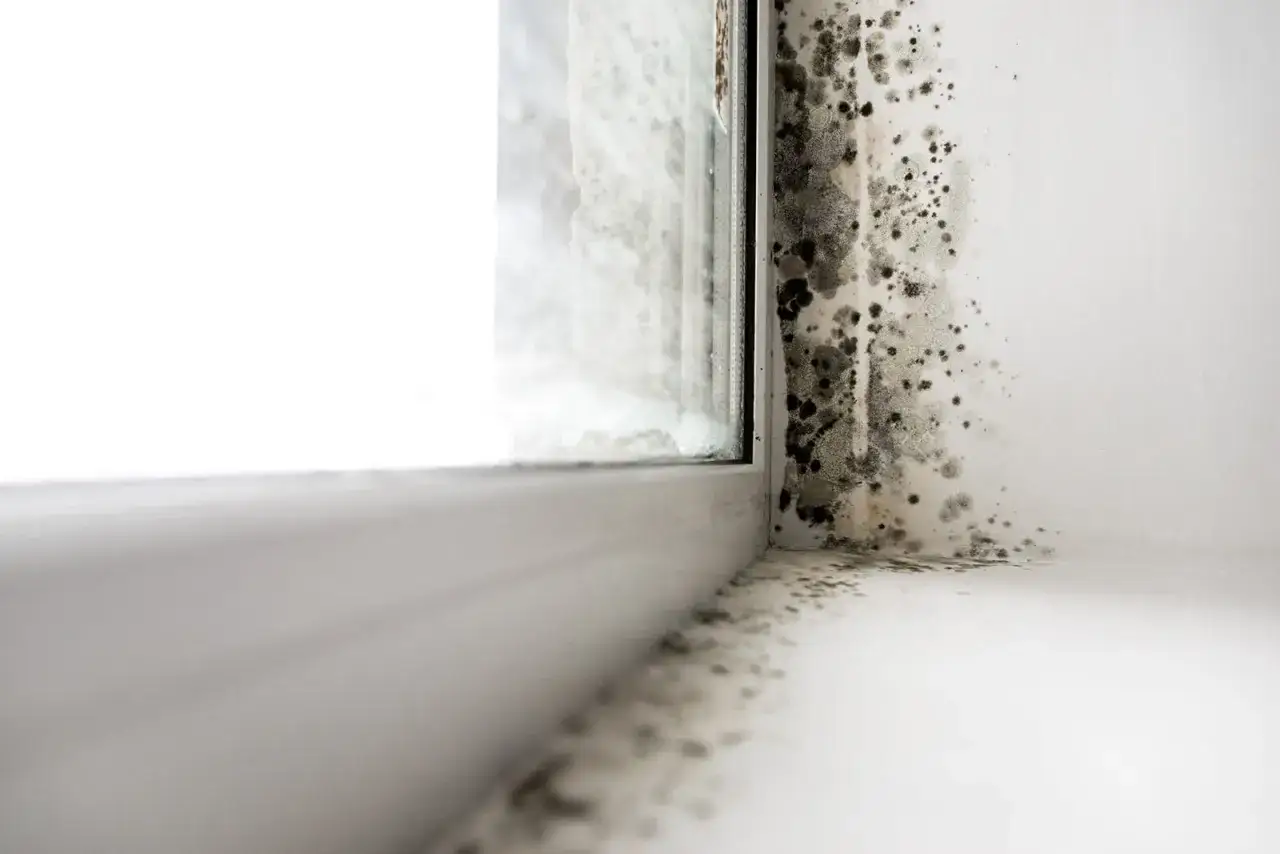 Angolo di una finestra con muffa nera e grigia sul muro e sul davanzale. Un problema comune per capire come evitare la muffa in casa.