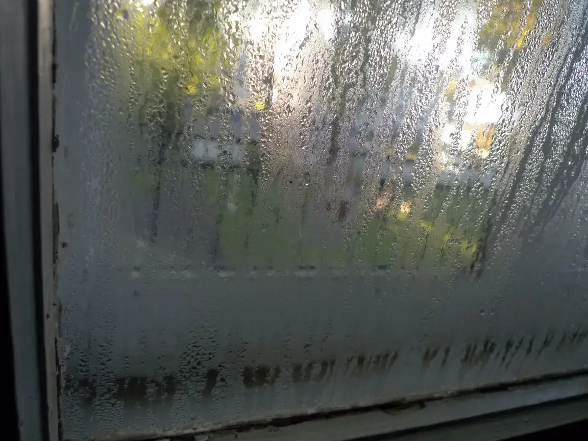 Vetri appannati, goccioline d'acqua che scendono. Un segno che &egrave; ora di capire come togliere umidit&agrave; in casa per un ambiente pi&ugrave; sano.