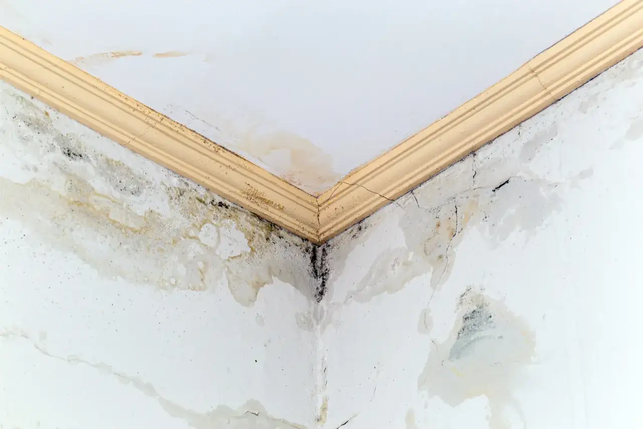 Angolo di una stanza con soffitto e pareti macchiati da umidità e muffa. Segni evidenti per come riconoscere le infiltrazioni d'acqua.