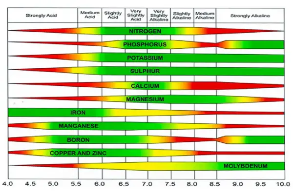 Grafico che mostra come misurare il pH del terreno e la disponibilità di nutrienti. Scala pH da 4.0 a 10.0.