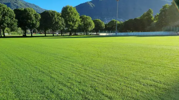 Prato verde brillante, perfetto per capire la differenza tra gramigna e gramignone. Alberi e montagne sullo sfondo.