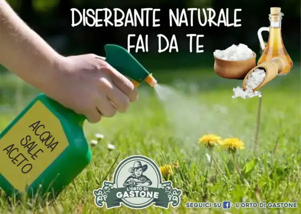 Mano spruzza un diserbante naturale fai da te potente a base di acqua, sale e aceto sull'erba. Ingredienti naturali per un giardino senza erbacce.