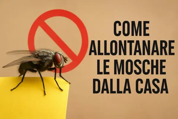 Una mosca su un foglio giallo, con un cerchio rosso di divieto. Testo: "Come allontanare le mosche dalla casa". Rimedi efficaci.