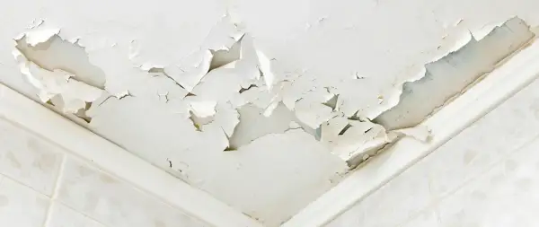Soffitto scrostato e macchiato, segnale evidente di come riconoscere le infiltrazioni d'acqua. La pittura si stacca a chiazze, rivelando l'umidità sottostante.