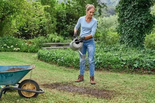Donna annaffia il prato con un'annaffiatoio, un passo fondamentale per imparare come rinverdire il prato in estate. Carriola piena di terra sullo sfondo.